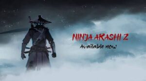 Ninja Arashi mod
